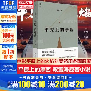 新华文轩 火焰原著小说 平原上 双雪涛著刘昊然周冬雨主演电影平原上 安德烈短篇刺杀小说家飞行家猎人聋哑时代翅鬼书 摩西
