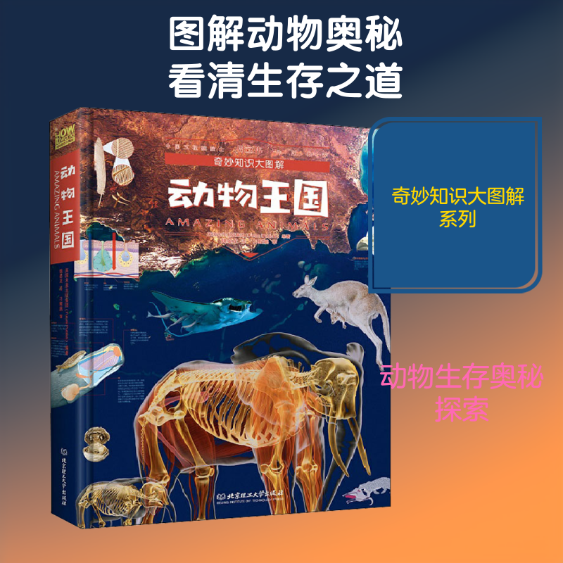 奇妙知识大图解动物王国儿童百科全书大百科 关于海洋生物爬行蛇类恐龙书科普书籍小学生三四五六年级必课外阅读世界大探秘万物书