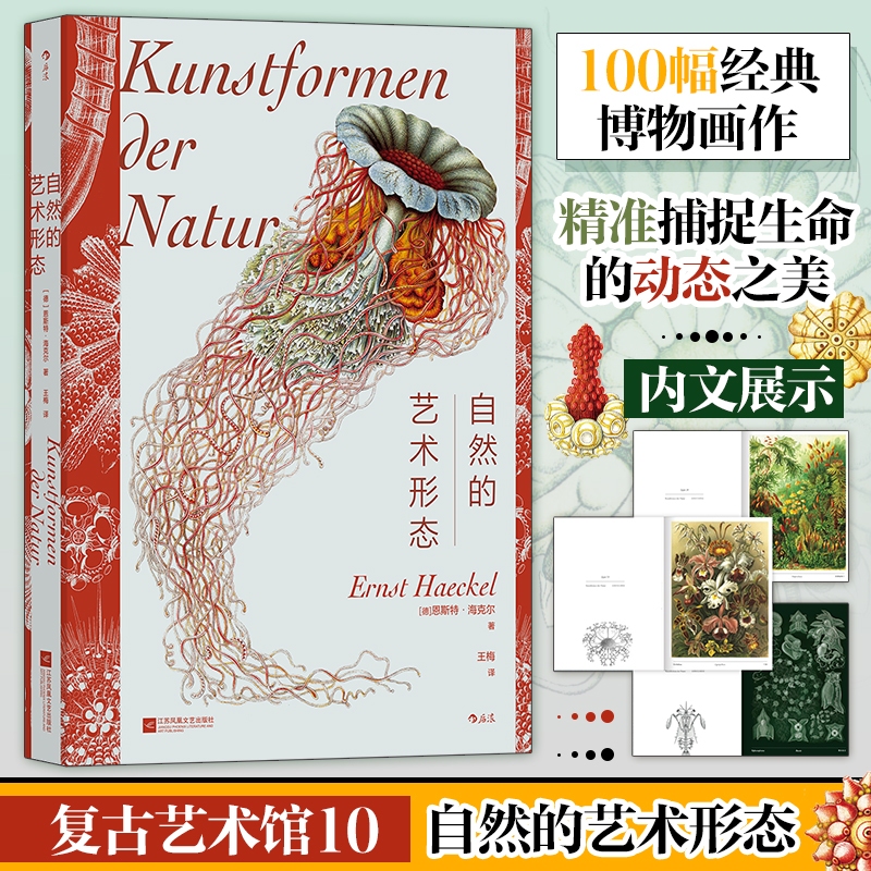 新华书店正版 美术理论 文轩网