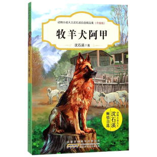 【新华书店】牧羊犬阿甲 0-3-4-5-6-8岁儿童绘本 老师推荐幼儿园小学生课外书籍阅读 父母与孩子的睡前亲子阅读