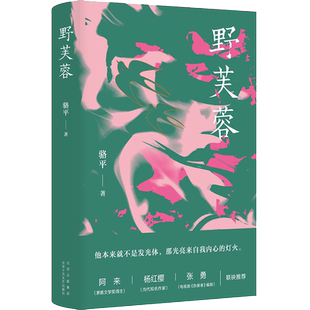 【正版包邮】野芙蓉 骆平著女性情感小说 女性心灵成长史一段跨越两代人的爱情悲剧 阿来杨红樱张勇 现当代文学图书新经典新华书店