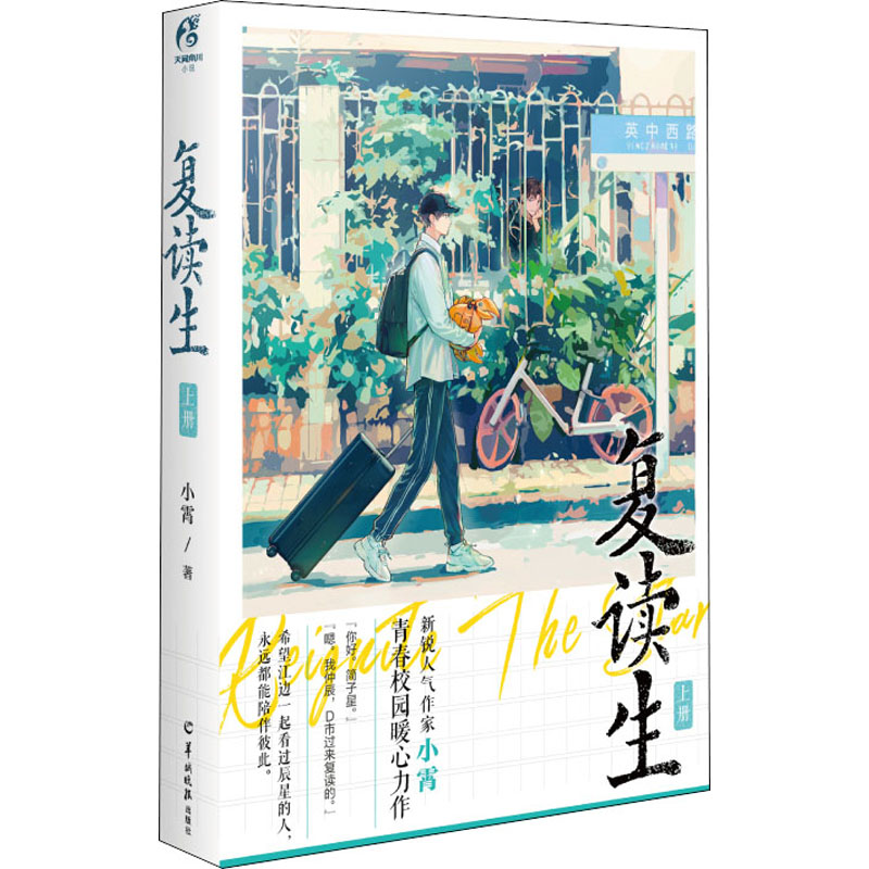 新华书店正版 青春小说 文轩网