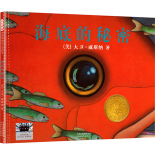【新华文轩】海底的秘密 (美)大卫·威斯纳 正版书籍 新华书店旗舰店文轩官网 河北教育出版社