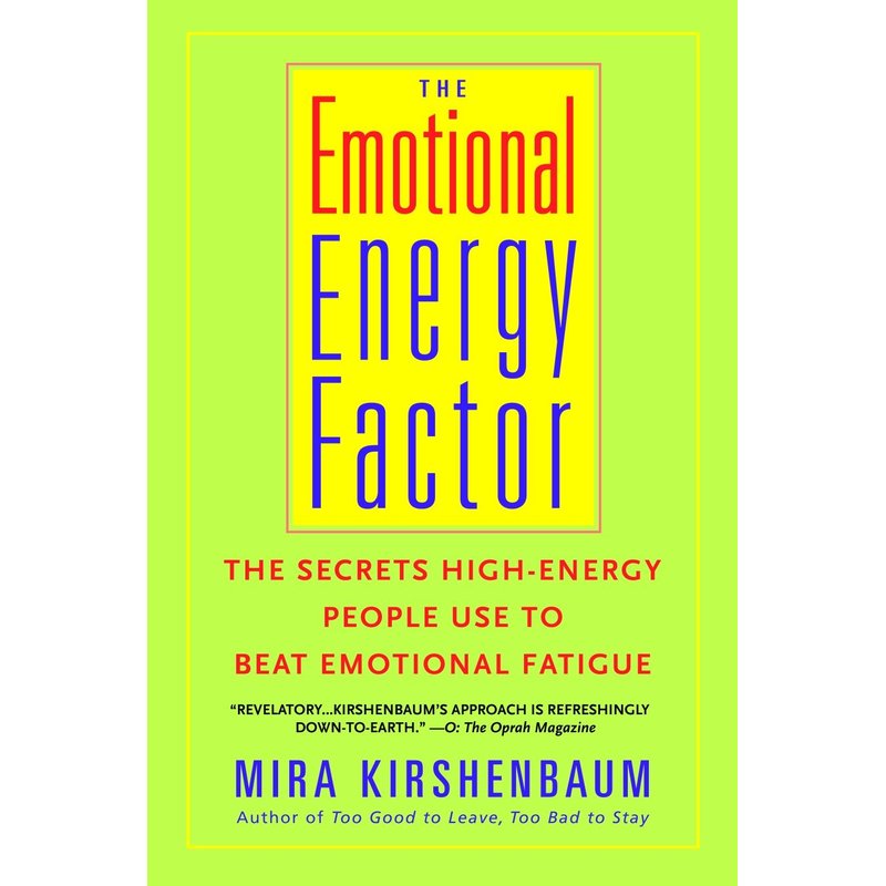 情感能量因素:高能量人们使用来击败情感疲劳的秘密The Emotional Energy Factor原版引进