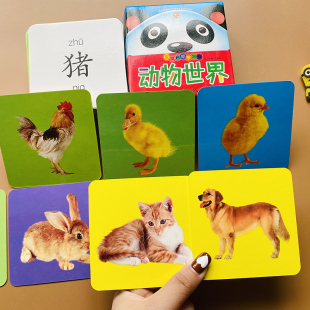 宝宝看图认动物世界卡片早教卡片 0-1-2-3岁儿童加厚撕不烂益智玩具动物卡片学前一二岁婴幼儿学习看图认动物小孩子认动物世界图书