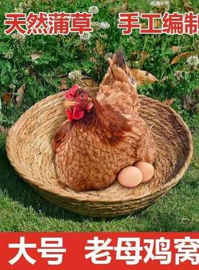 天然蒲草手工编制大号老母鸡窝户外鸡窝垫天然草编鸟窝