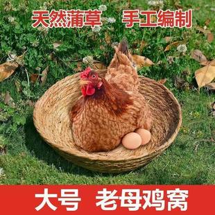 天然蒲草手工编制大号老母鸡窝户外鸡窝垫天然草编鸟窝
