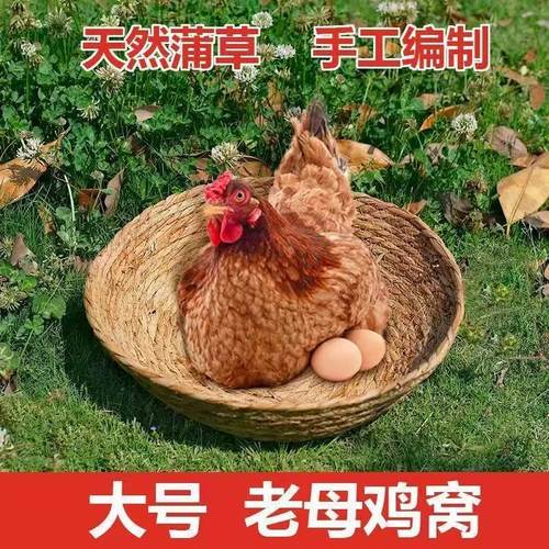天然蒲草手工编织大号老母鸡窝