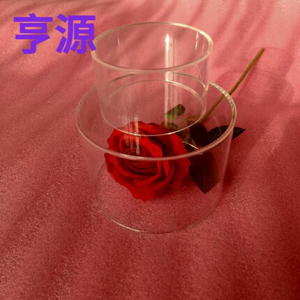 单面亚克力蛋糕模型圆形透明烘焙假体泡沫裱花胚练习翻糖塑料磨具