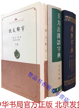 全套3册说文解字点校本+康熙字典检索本+王力古汉语字典 中华书局正版汉字辞书古汉语字典中国古代语言学典籍字源语言文字著作字书