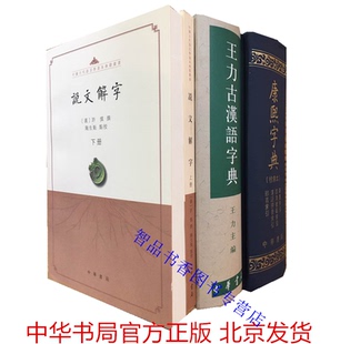 全套3册说文解字点校本+康熙字典检索本+王力古汉语字典 中华书局正版汉字辞书古汉语字典中国古代语言学典籍字源语言文字著作字书