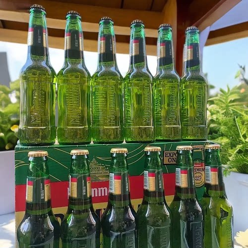 缅玛Myanmar330ml*24瓶精酿啤酒