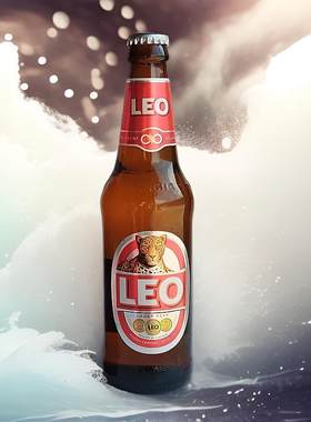LEO豹子精酿啤酒330ml24小瓶泰国