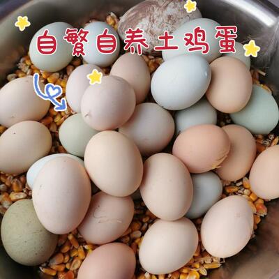 正宗农家散养新鲜30枚土鸡蛋笨鸡蛋草鸡蛋溜达鸡蛋孕妇鸡蛋跑山鸡