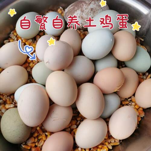 正宗农家散养新鲜30枚土鸡蛋笨鸡蛋草鸡蛋溜达鸡蛋孕妇鸡蛋跑山鸡