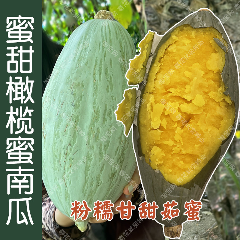 蜜甜橄榄蜜板栗南瓜种子 春夏秋季播蔬菜籽 粉面香甜糯好吃易种孑,鲜花速递/花卉仿真/绿植园艺,家庭园艺种子,淘宝优惠券,粉丝福利购,淘宝优惠卷