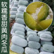 播蔬菜籽 季 好吃易种抗病高产孑 春夏秋四季 粉糯香甜黄肉冬瓜种子