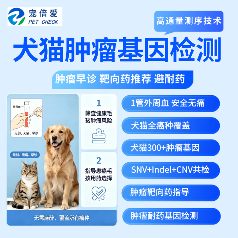 宠倍爱猫狗肿瘤早早筛查肿块增长扩散检测