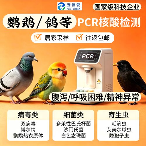 异宠呼吸道消化道病原PCR核酸检测鸟鹦鹉鸽鸡兔鼠狐獴蛇龟鱼守宫