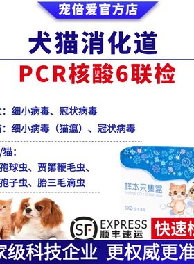 宠倍爱猫狗消化道检测顺丰包邮