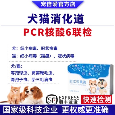 犬猫狗消化道pcr核酸六联检测猫瘟狗细小冠状滴虫寄生虫送检