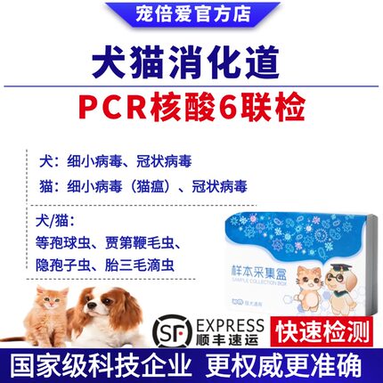 犬猫狗消化道pcr六联检测猫瘟狗细小冠状滴虫寄生虫送检