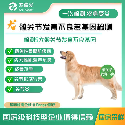 狗髋关节发育不良基因检测chd