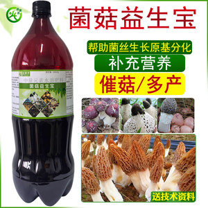益富源菌菇益生宝羊肚菌营养液增产剂竹荪香菇催菇蘑菇球盖姬松茸