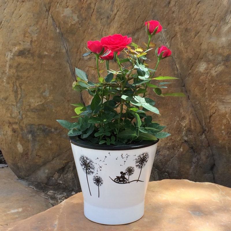 树脂欧式懒人盆吸水双层绿萝印花