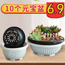 有孔 多肉盆仙人球盆大口径圆形花盆塑料矮盆新款 元 宝盆加厚韩式