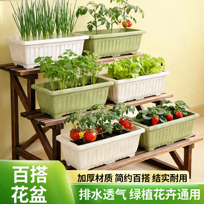 阳台种菜盆长方形加厚塑料家用蔬菜种植花槽养花透气大号树脂花盆