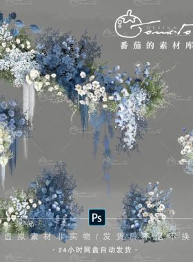 H125 小众蓝白色雾霾蓝婚礼设计手绘花艺效果图道具素材psd源文件