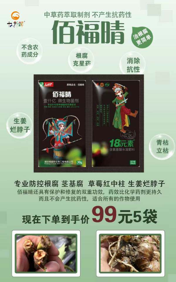 佰福晴微生物菌剂防治作物死棵根腐茎基腐土传播疾病腐霉泰克正品