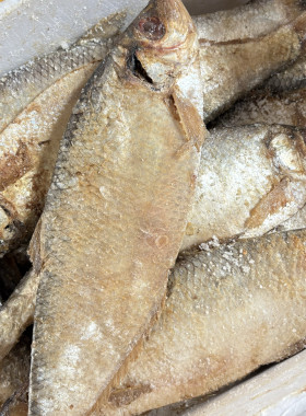 野生白磷鱼特产山东老式三刨白磷鱼梅香咸鱼霉鳓鱼海鱼干货海鲜