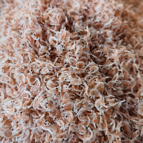 山东特产淡干带籽膏虾皮海米虾米干货可打粉可做饭团用小虾带籽
