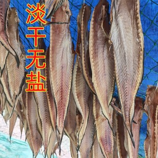山东日照岚山淡大马哈鱼干海鲶鱼干咸鱼干鲑鱼干胖海鱼海鲜干货