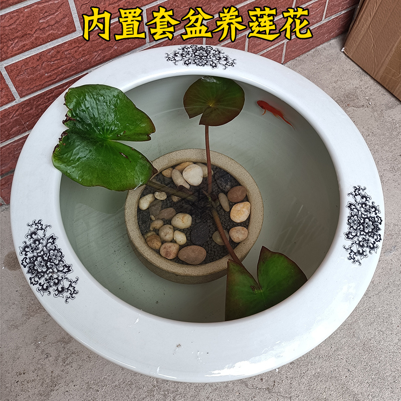 内置陶瓷盆养睡莲荷花莲花养鱼套盆水草泥荷塘泥鹅卵石-封面