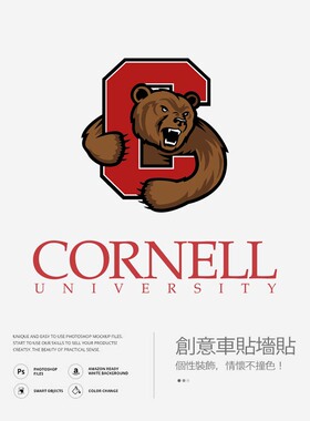 世界名校大学车贴墙贴ivexels