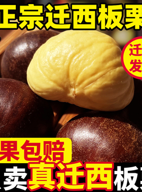 2025正宗迁西板栗生新鲜河北栗子大板栗唐山毛板栗燕山小油栗板粟