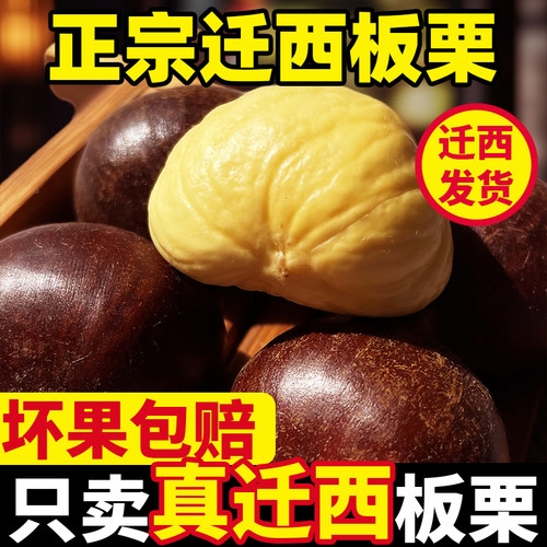 只卖真迁西板栗源产地直发