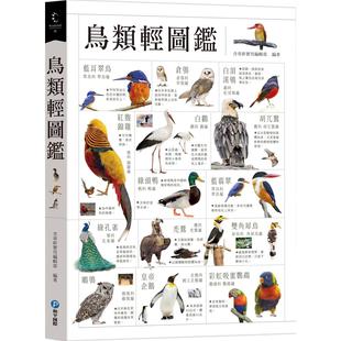 预售 鸟类轻图鉴 和平国际 含章新实用编辑部