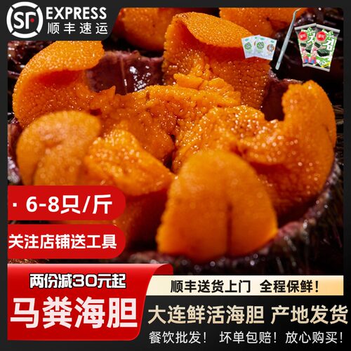 马粪海胆鲜活顺丰包邮6-8只/斤