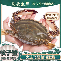 超大飞蟹鲜活梭子蟹新鲜螃蟹满肉庄河东沟东港毛蟹板大连海鲜水产