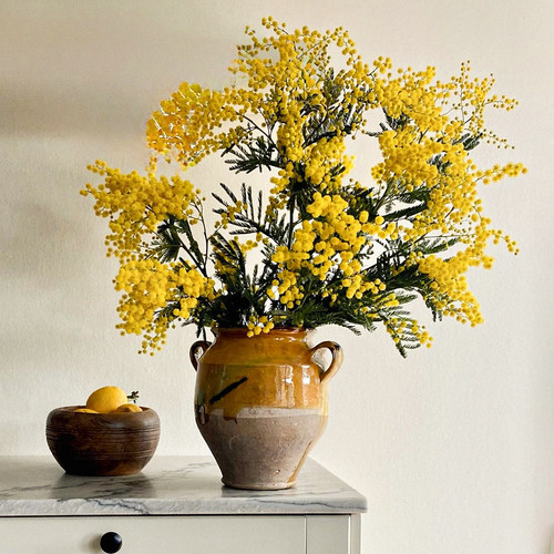 久伴天然干花永生花花束真花客厅餐桌台面装饰摆件侘寂复古高级感