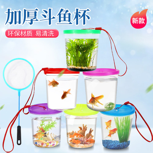 透明塑料斗鱼杯儿童迷你小鱼缸
