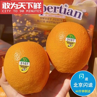 14粒 6斤 仅限北京闪送 南非进口 金巴利甜橙 纯甜 无酸 细腻无渣