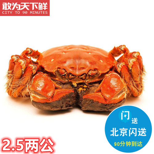 公2.3-2.5两 北京闪送 河蟹鲜活螃蟹大闸蟹 满黄满肉活蟹 3只起拍