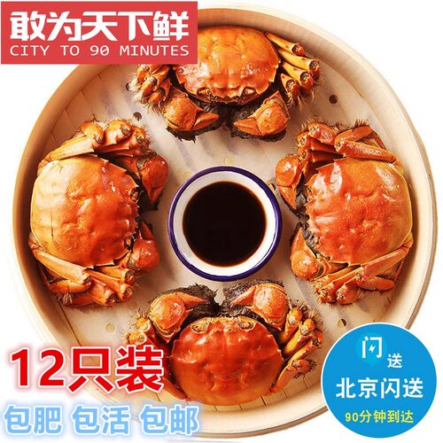12只 顺丰包邮 公3.3-3.5两 母2.7-3两 现货 鲜活 河蟹 大闸蟹