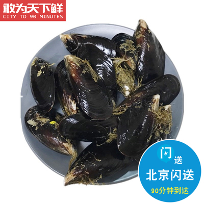 鲜活海虹贻贝淡菜青口海鲜水产