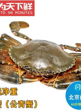 1只1斤公肉蟹青蟹鲜活